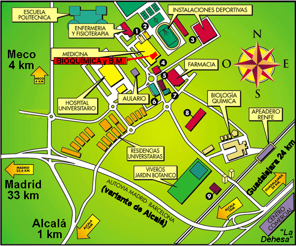 plano del campus