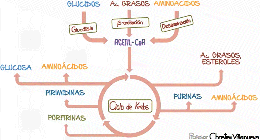 esquema